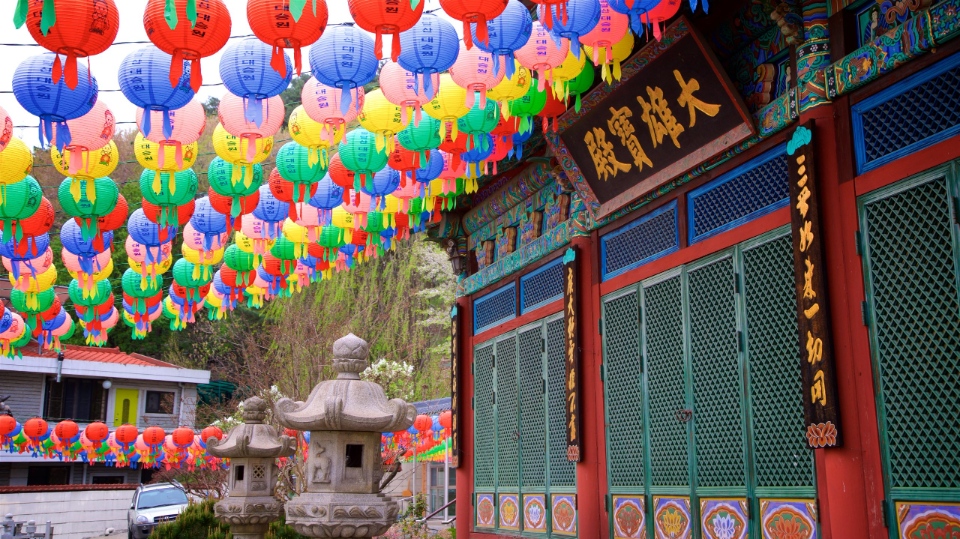 suwon korea12