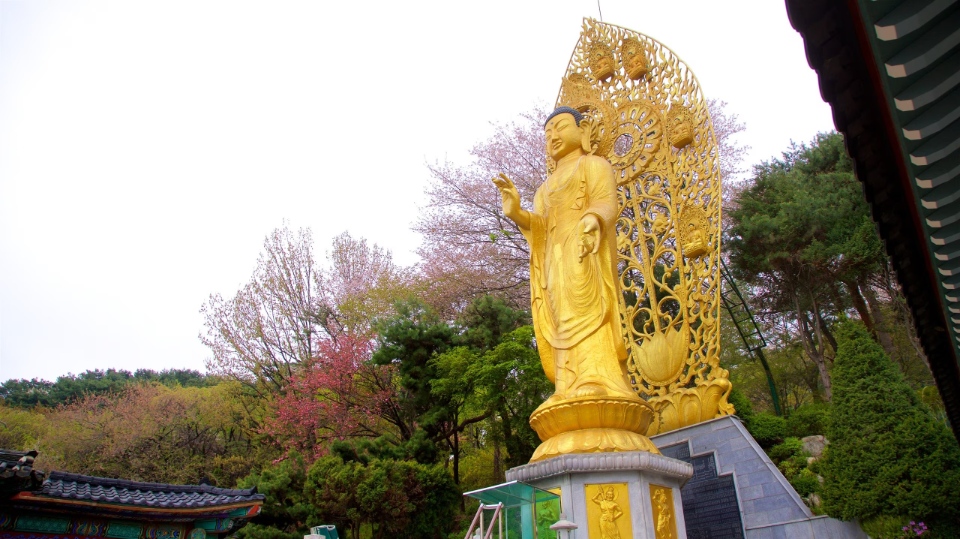 suwon korea14