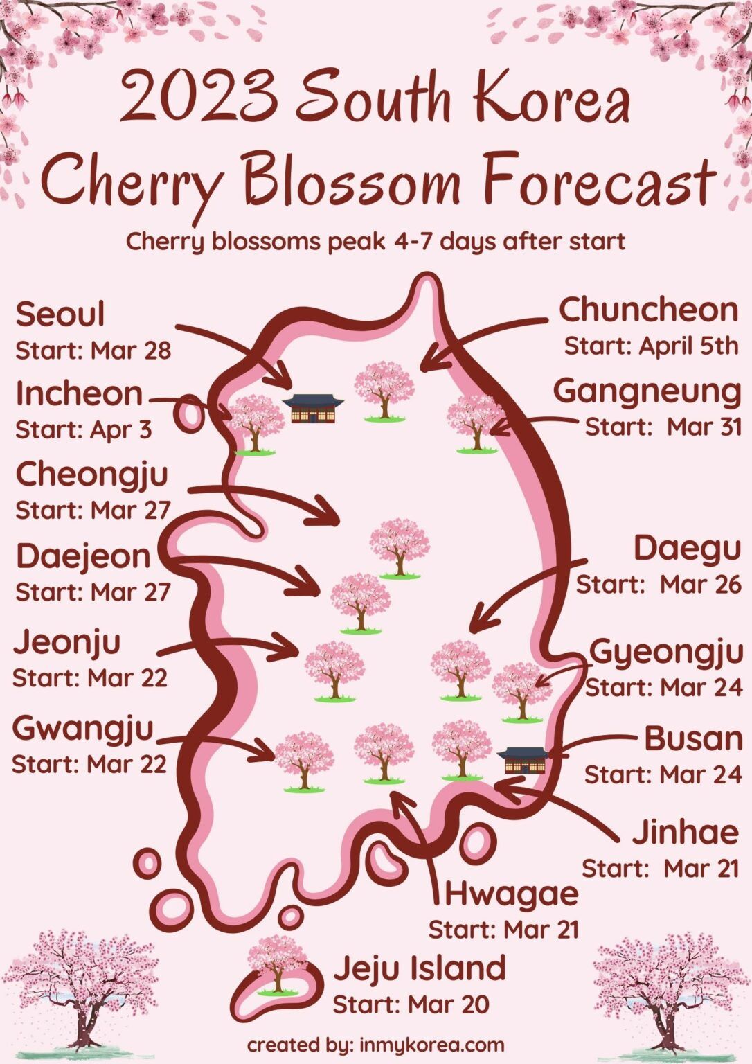 korea cherry blossoms 2024