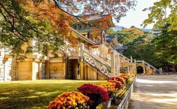 15+ most famous & best temples in Korea