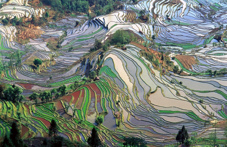 Yuangyang rice terrace, Yunnan, China_GettyImages-563857341