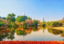 Where to see autumn leaves in Tokyo: The dates & 12+ Best Tokyo autumn spots you shoul GO