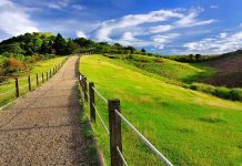 Gingtiangang Grassland Yangmingshan — The ultimate guide on how to go & top things to do