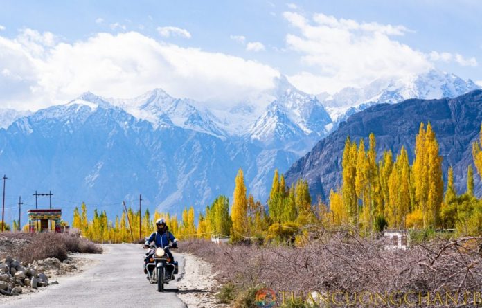 ladakh india trip cost