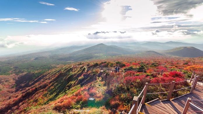 Hallasan-things-to-do-in-Jeju-Island-South-Korea