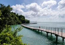 Pulau Ubin travel guide. The ultimate guide to the green island of Singapore