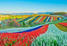 19+ must-see & best places to visit in Hokkaido