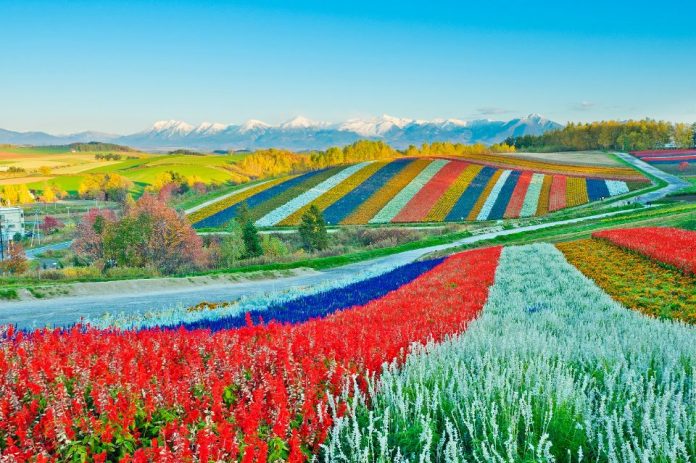 biei-pc hokkaido (1)