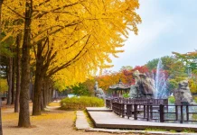 Nami island blog. How to get, when is the best time to visit, what to do
