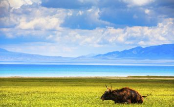 Xinjiang travel itinerary 7 days. How to spend 7 days in Xinjiang perfectly?