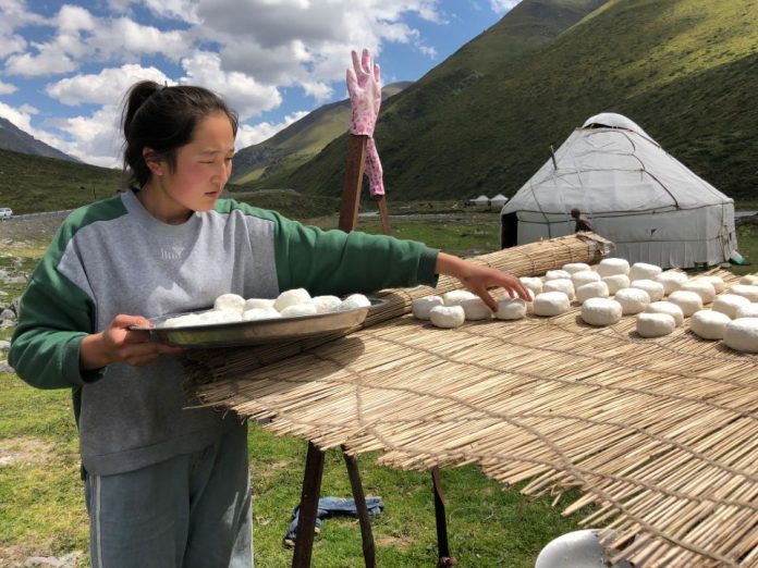 xinjiang goat cheese