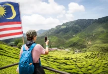 Cameron Highlands travel blog — The fullest travel guide & what to do in Cameron Highlands for first-timers
