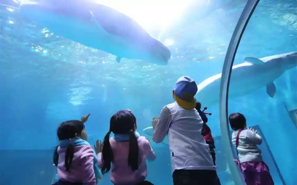 Guangzhou Zhengjia Polar Ocean World Aquarium