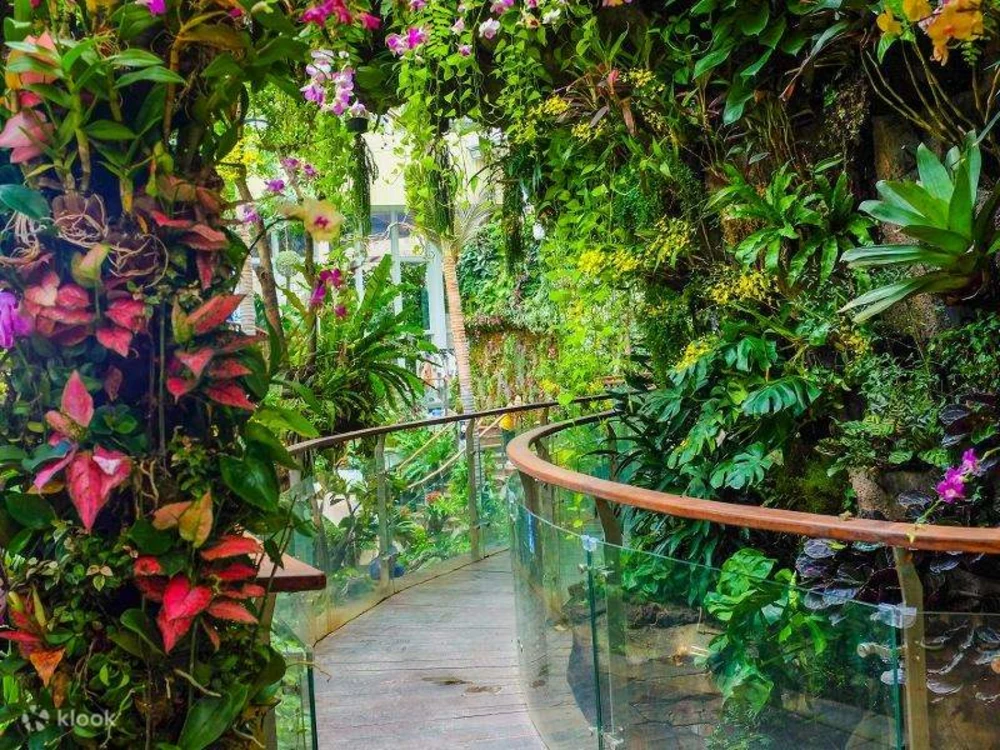 Zhengjia Tropical Forest Ecological Botanical Garden
