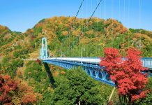 Ibaraki travel blog: The fullest Ibaraki travel guide for first-timers
