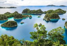 Raja Ampat travel blog: The fullest guide to discover Indonesia’s diving paradise
