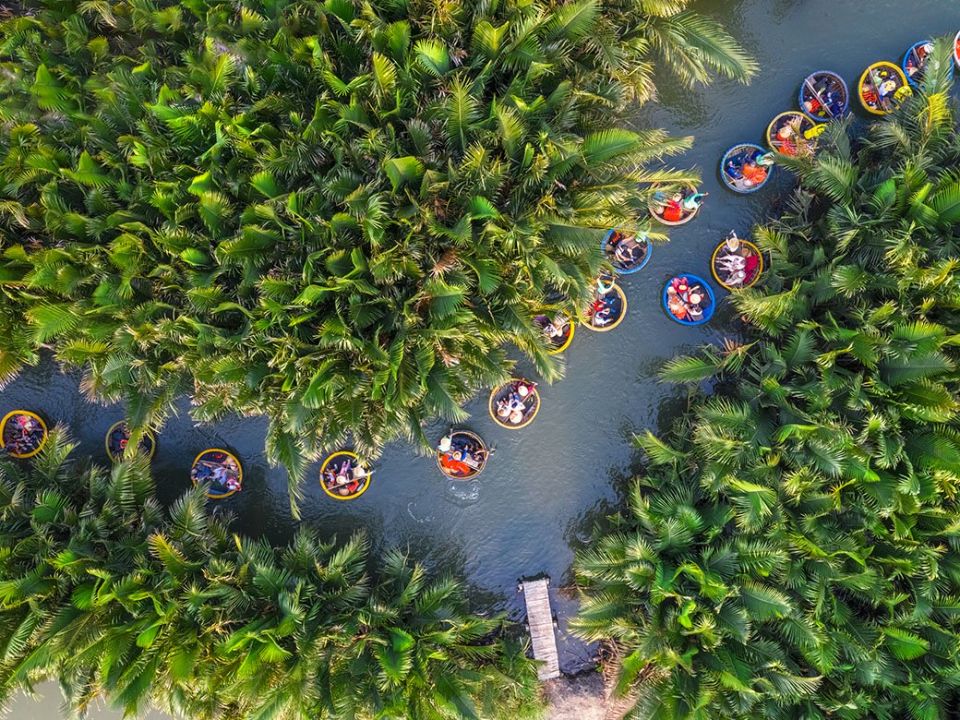 rung-dua hoi an (1)