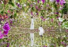 Teamlab Planets Tokyo Review: The Experience That Shakeups Social Media