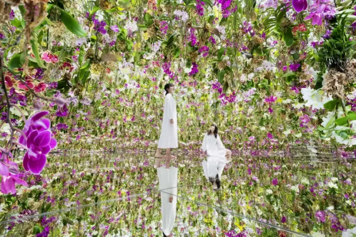 teamlab planets tokyo9245 (1)