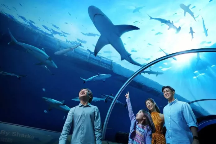 31 singapore oceanarium (1)