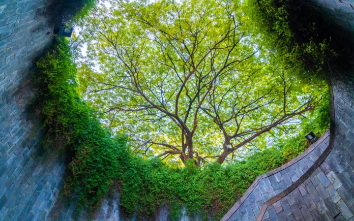 skyline Fort-Canning-Park-Singapore 233