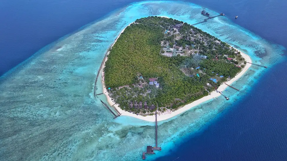 Pom-Pom-Island
