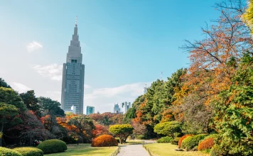 Ultimate 5 days in Tokyo itinerary: What to do, where to go & MORE?