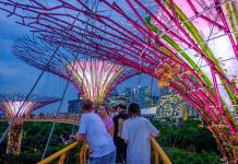 Ultimate 6 days in Singapore itinerary: Top Attractions, Tips & Unforgettable Experiences