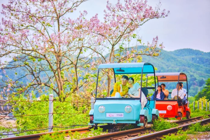 Gangchon rail park212