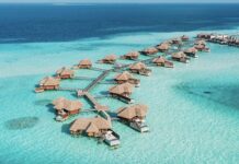 The ULTIMATE Maldives Travel Guide: Top Attractions, Best things to do, Eat, Useful tips & MORE