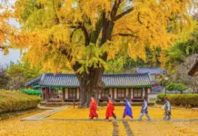 How to visit Korea in November: 12+ Top things to do & best places to visit in Korea in November