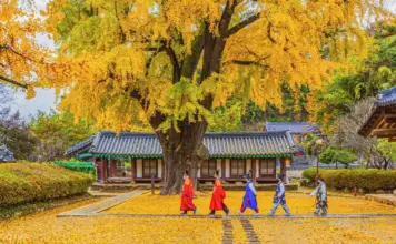 The ULTIMATE Jeonju travel guide: Top attractions, best things to do, eat & MORE