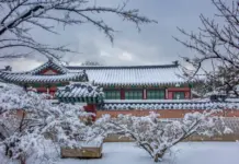 Guide to Winter Vacation in Korea: 12+ Best places to visit in Korea in winter, Top things to do, Vibrant Festivals, Must-try Foods & MORE