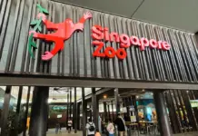 The SUPER Singapore Zoo Guide: Tickets, Top Things to Do, How to Get There & Tips for Visiting