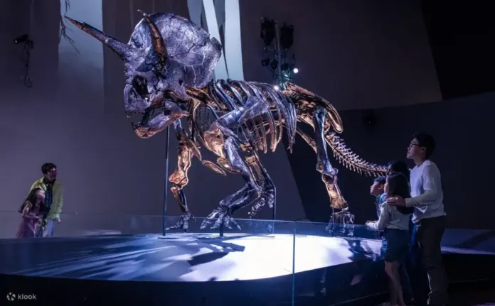 Melbourne Museum3 (1)