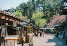 The SUPER Nikko travel guide: How to get there, Top attractions, Best time to visit & MORE