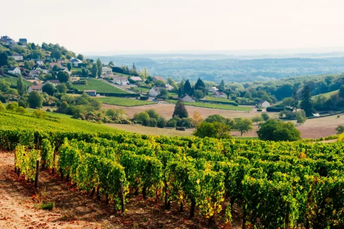 344SUPER Loire Valley guide Sancerre