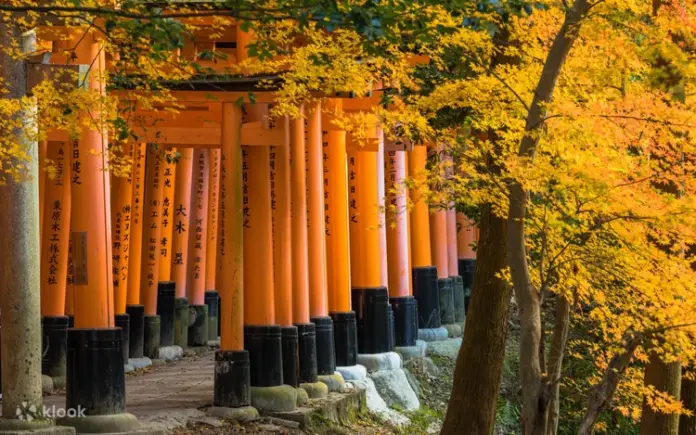 fushimi inari shrine kyoto