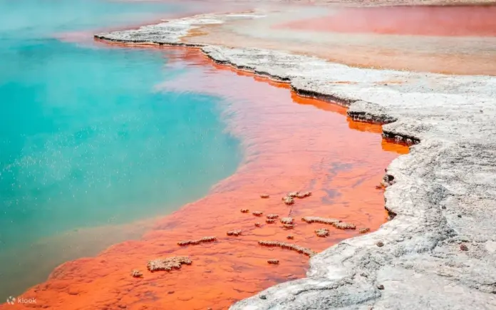 Wai-O-Tapu Thermal Wonderland rotorua