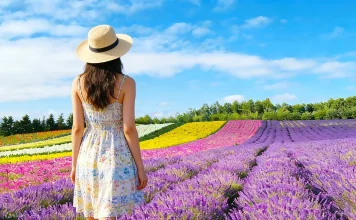 Hokkaido itinerary 7 days: Experience an Endless Summer in 7 Days in Hokkaido