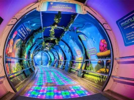 Science Centre Singapore reviews: Is It Worth Visiting?