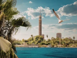 What to do in Zamalek? 12 Luxurious Experiences in Cairo’s Zamalek District