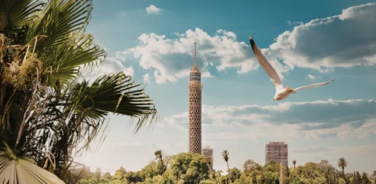 What to do in Zamalek? 12 Luxurious Experiences in Cairo’s Zamalek District