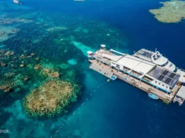 Diving the Great Barrier Reef: A Comprehensive A-Z Guide