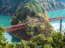 Oigawa Railway Shizuoka: Explore Shizuoka’s Highlands Aboard the Oigawa Steam Train