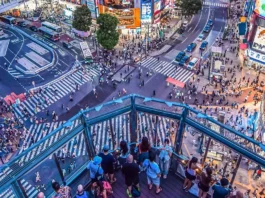 Shibuya vs. Shinjuku – Two Super-Hot Tokyo Entertainment Hubs