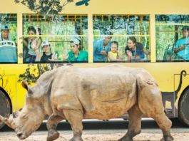 Conquering Vinpearl Safari Phu Quoc: A Detailed A-to-Z Review