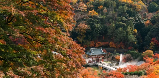 19 Romantic Autumn Spots in Osaka